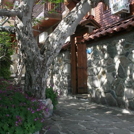Guestrooms Durna Sozopol Exteriér fotografie